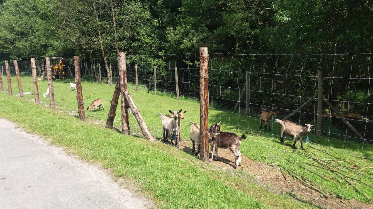 Agroturystyka,, Ranczo Kruszynki" Stronie Śląskie エクステリア 写真