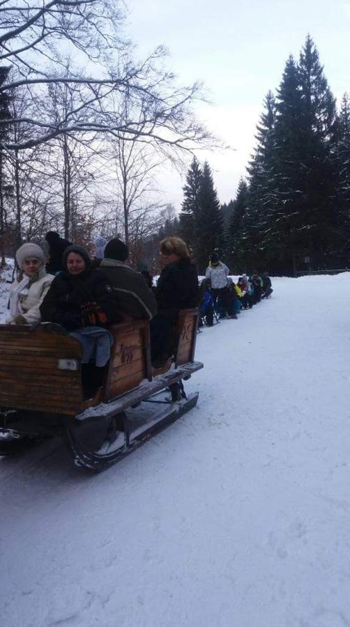 Agroturystyka,, Ranczo Kruszynki" Stronie Śląskie エクステリア 写真