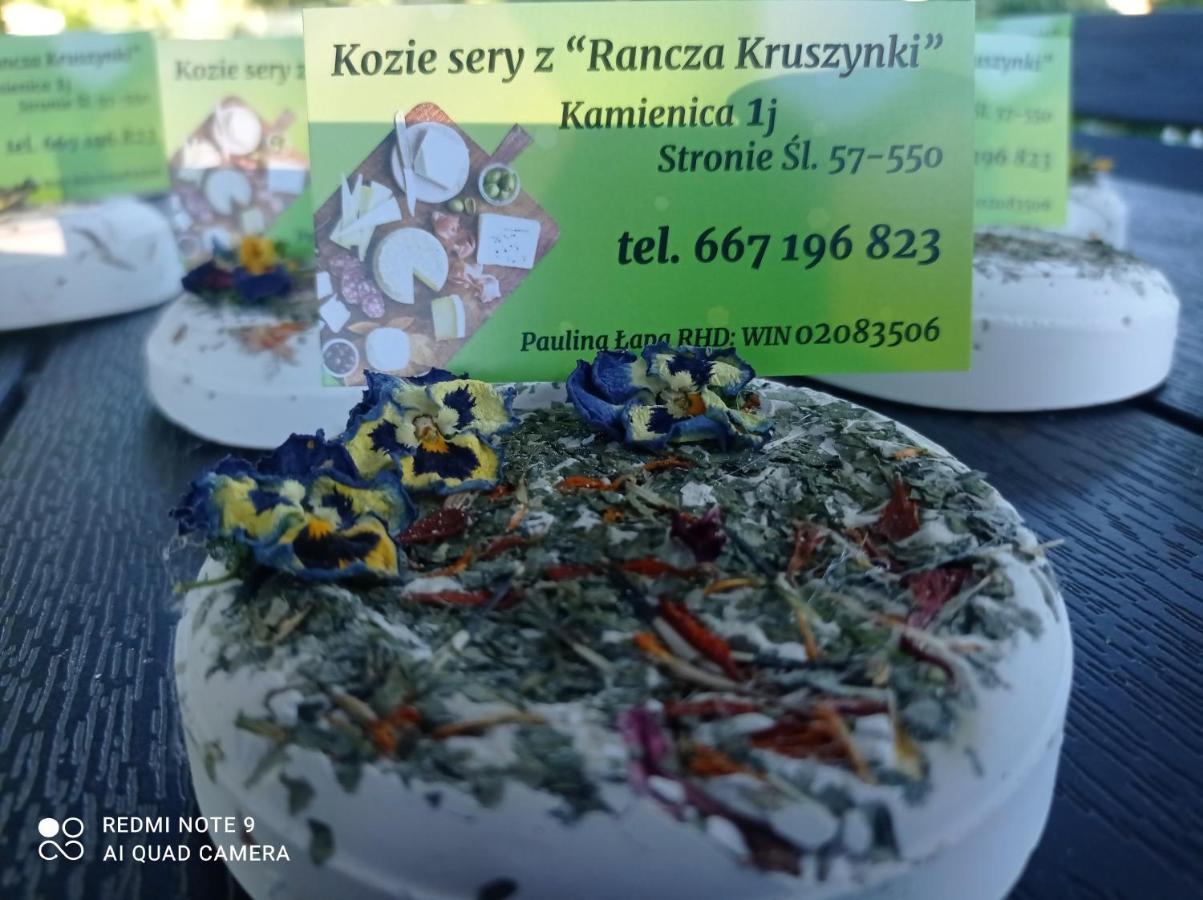 Agroturystyka,, Ranczo Kruszynki" Stronie Śląskie エクステリア 写真